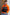 Harley Davidson racing jacket