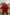 Bayern Munich Adidas Home Jersey