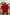 Bayern Munich Adidas Home Jersey