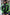Kawasaki Ninja Mens motorcycle jacket