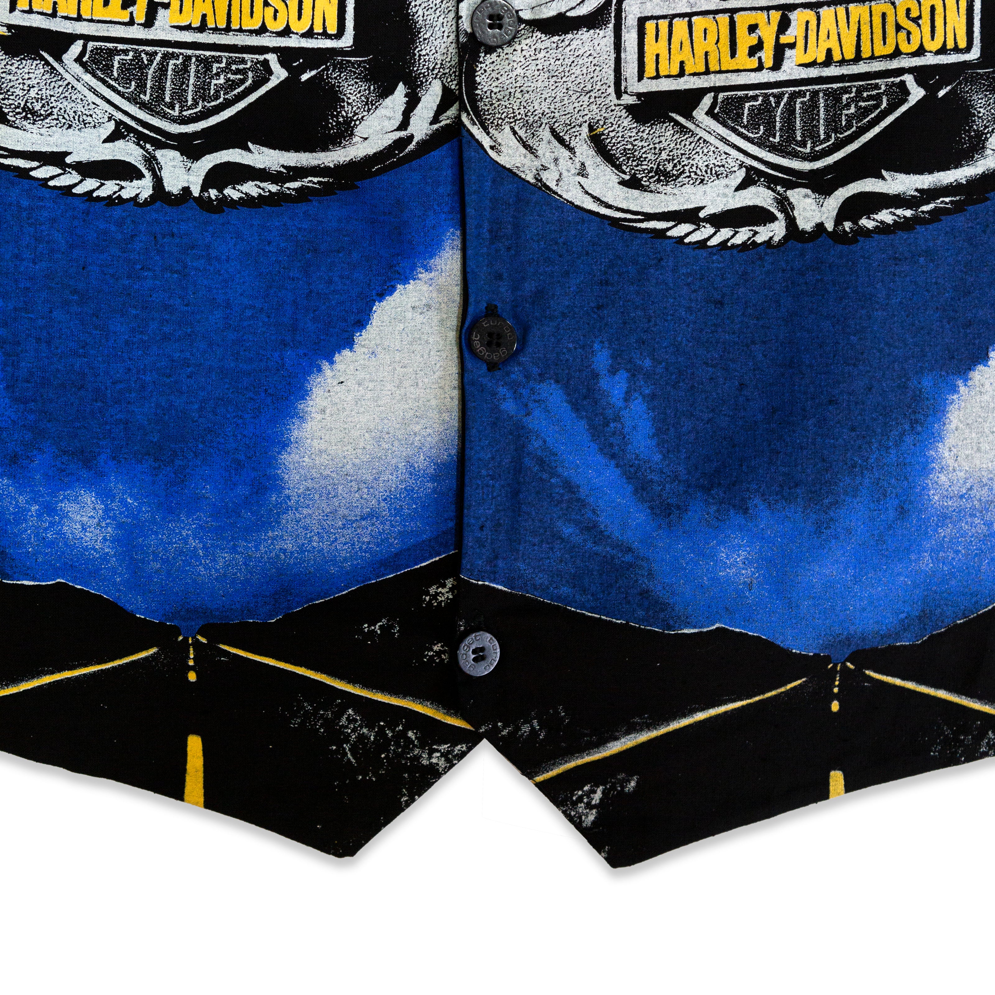 Stunning Harley davidson vest (M)