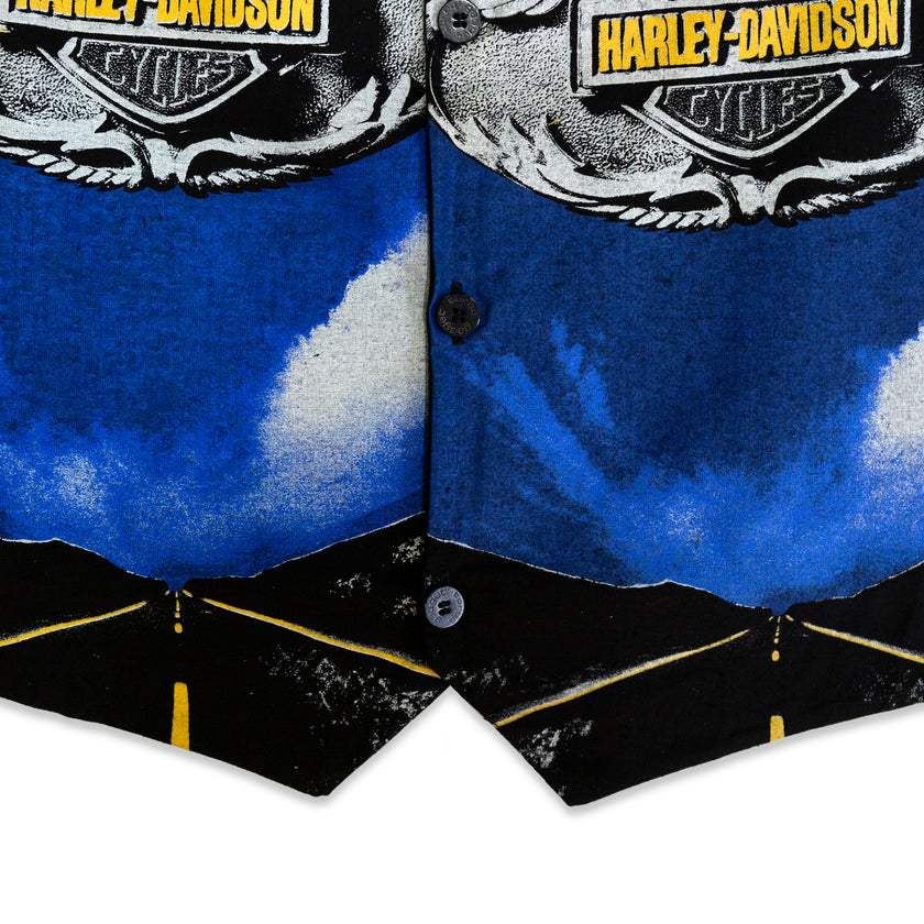 Stunning Harley davidson vest (M)