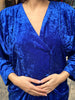 Stunning vintage blue velvet dress