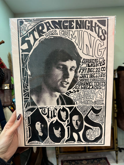 The Doors poster