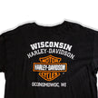 Harley Davidson logo T-shirt (L)