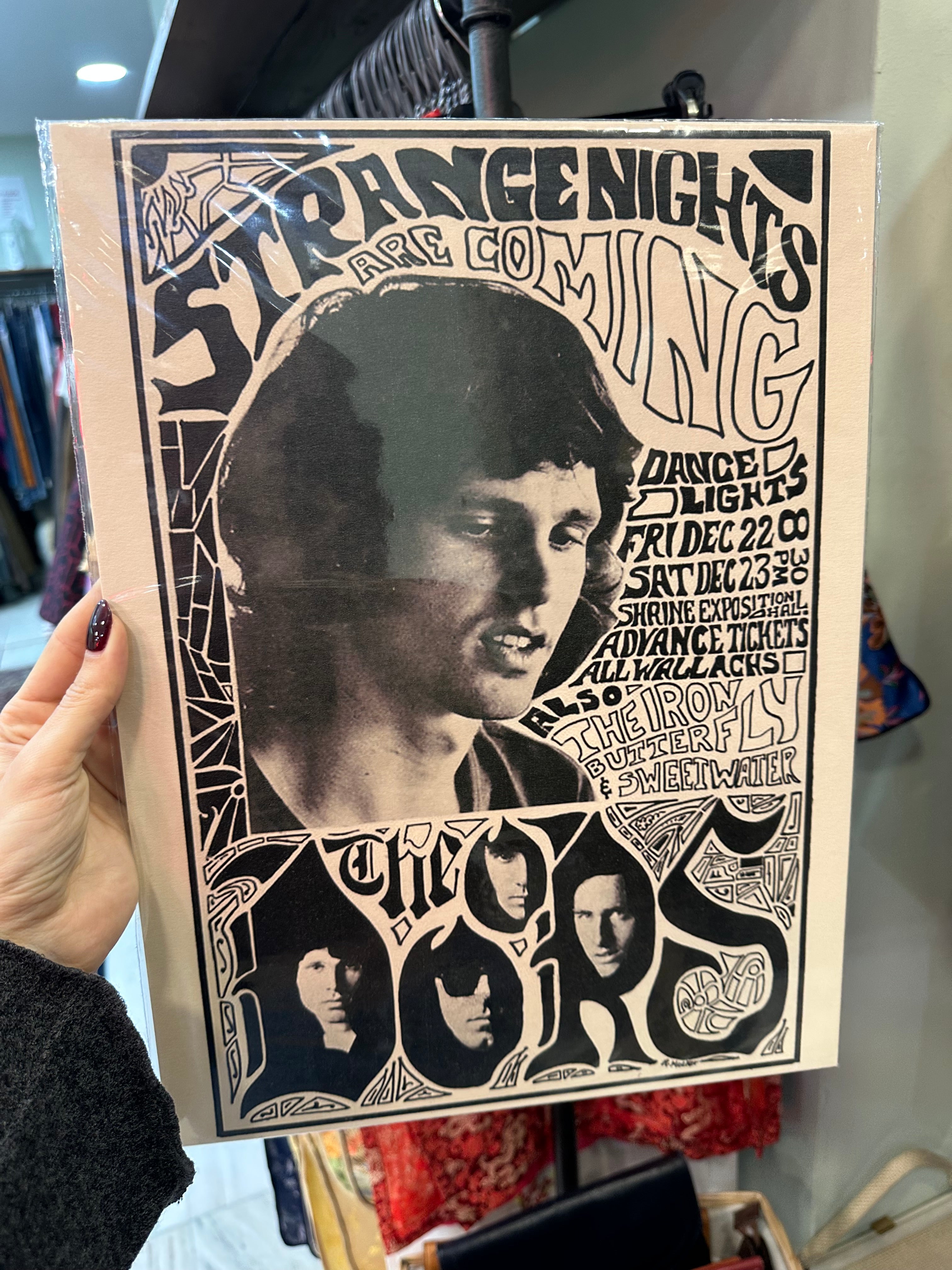 The Doors poster