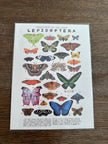 Retro butterfly poster