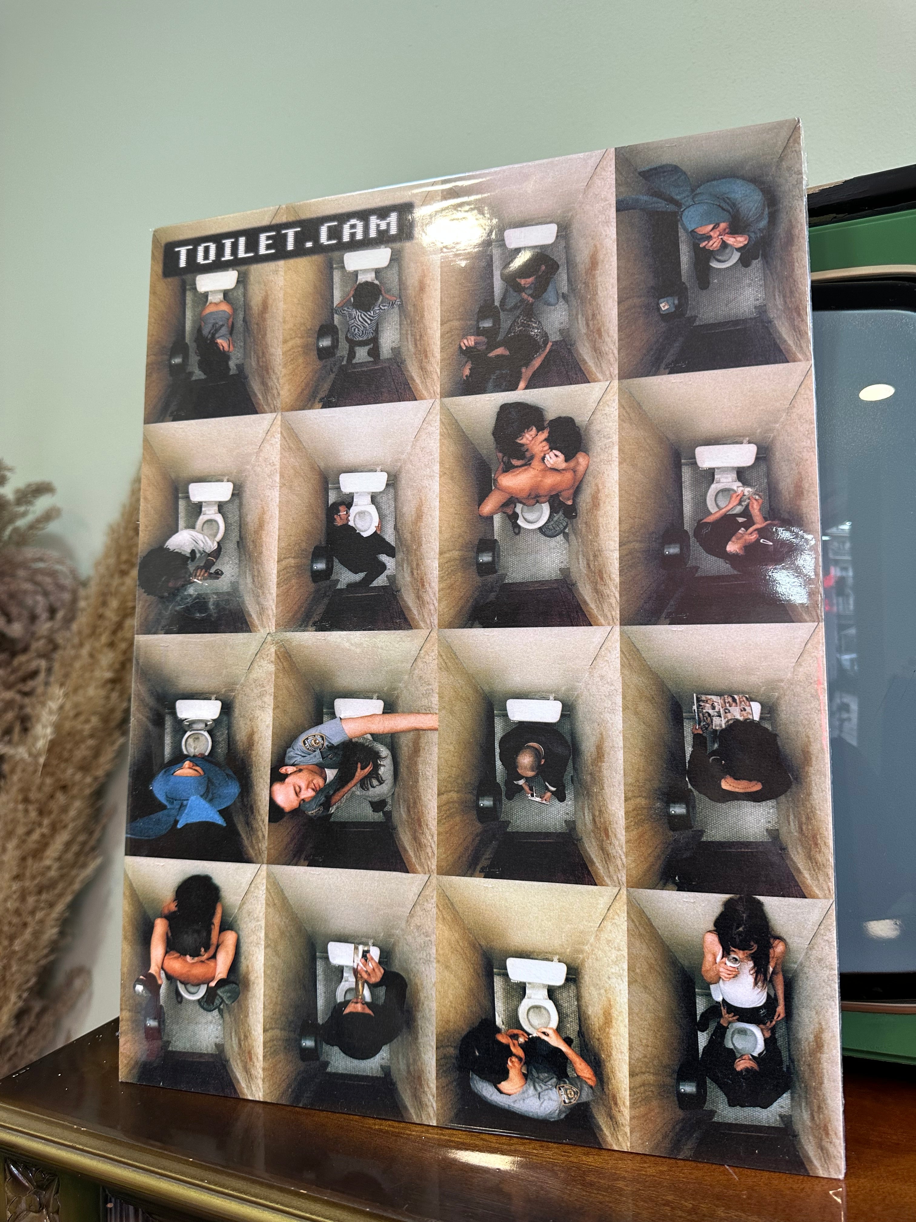 Toilet cam poster