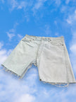 Super cute jorts (W36)