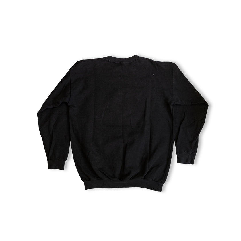 Vintage Jurassic Park Sweatshirt – Retro Dinosaur Graphic Crewneck (Men)