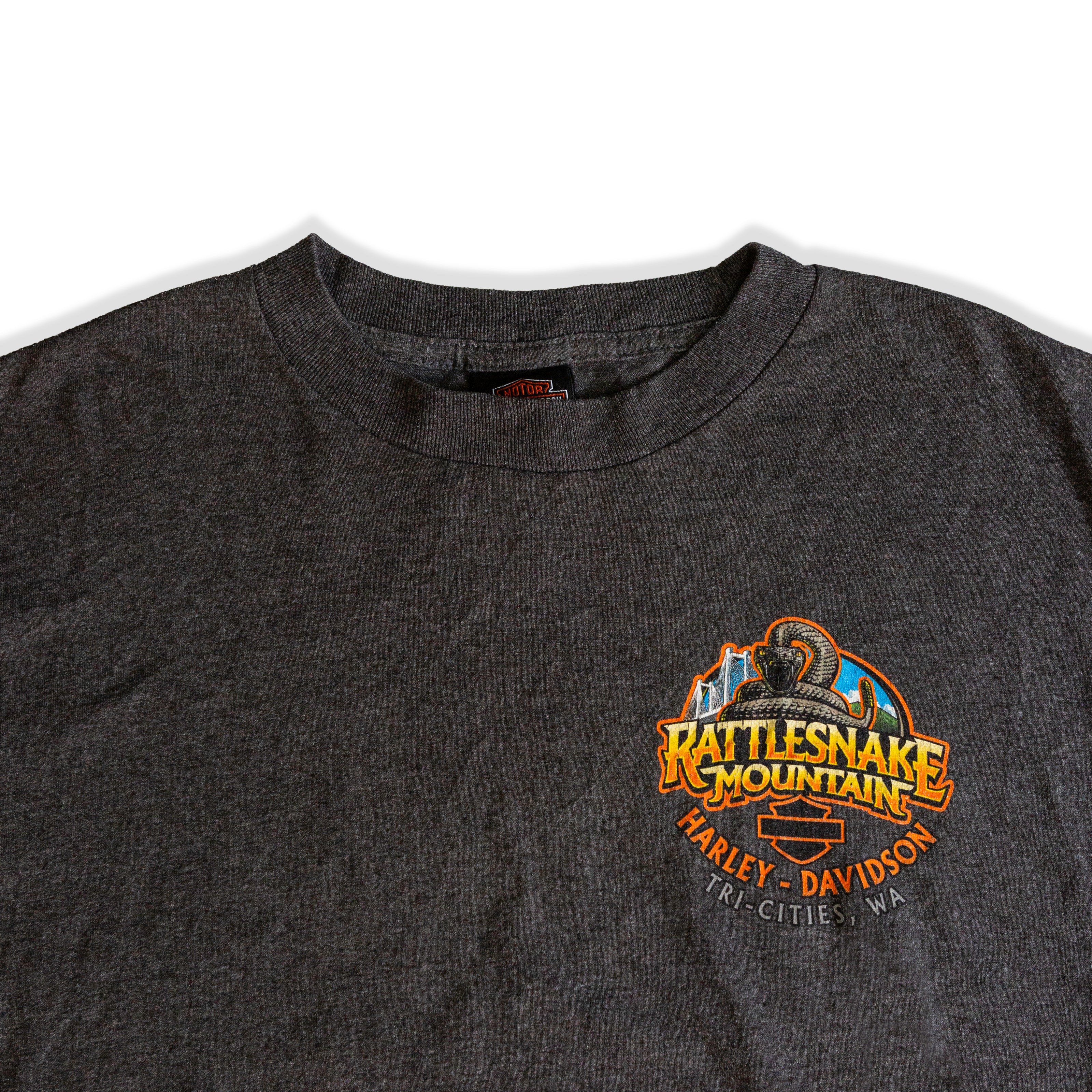 Harley Davidson graphic T-shirt (M)