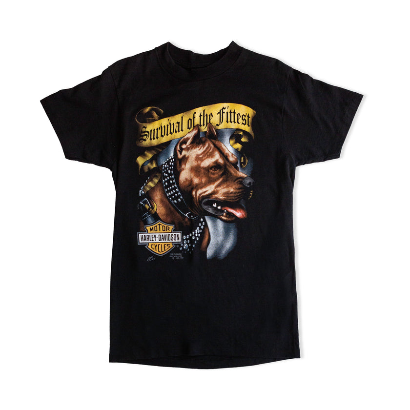 Harley Davidson T-shirt (M)