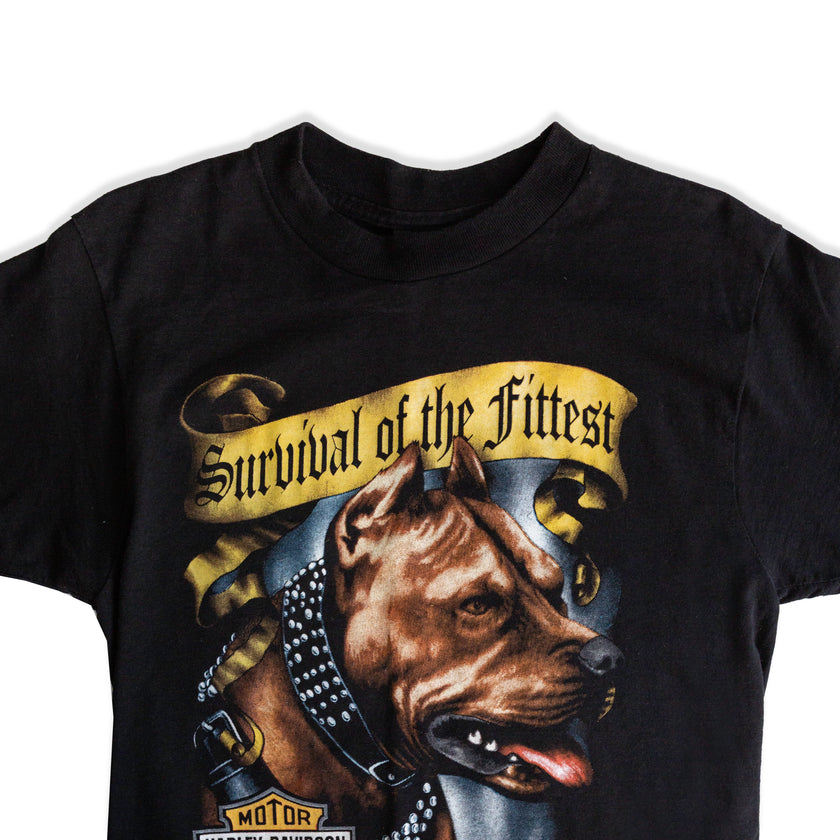 Harley Davidson T-shirt (M)
