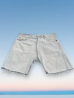 Super cute jorts (W36)