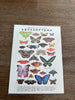 Retro butterfly poster