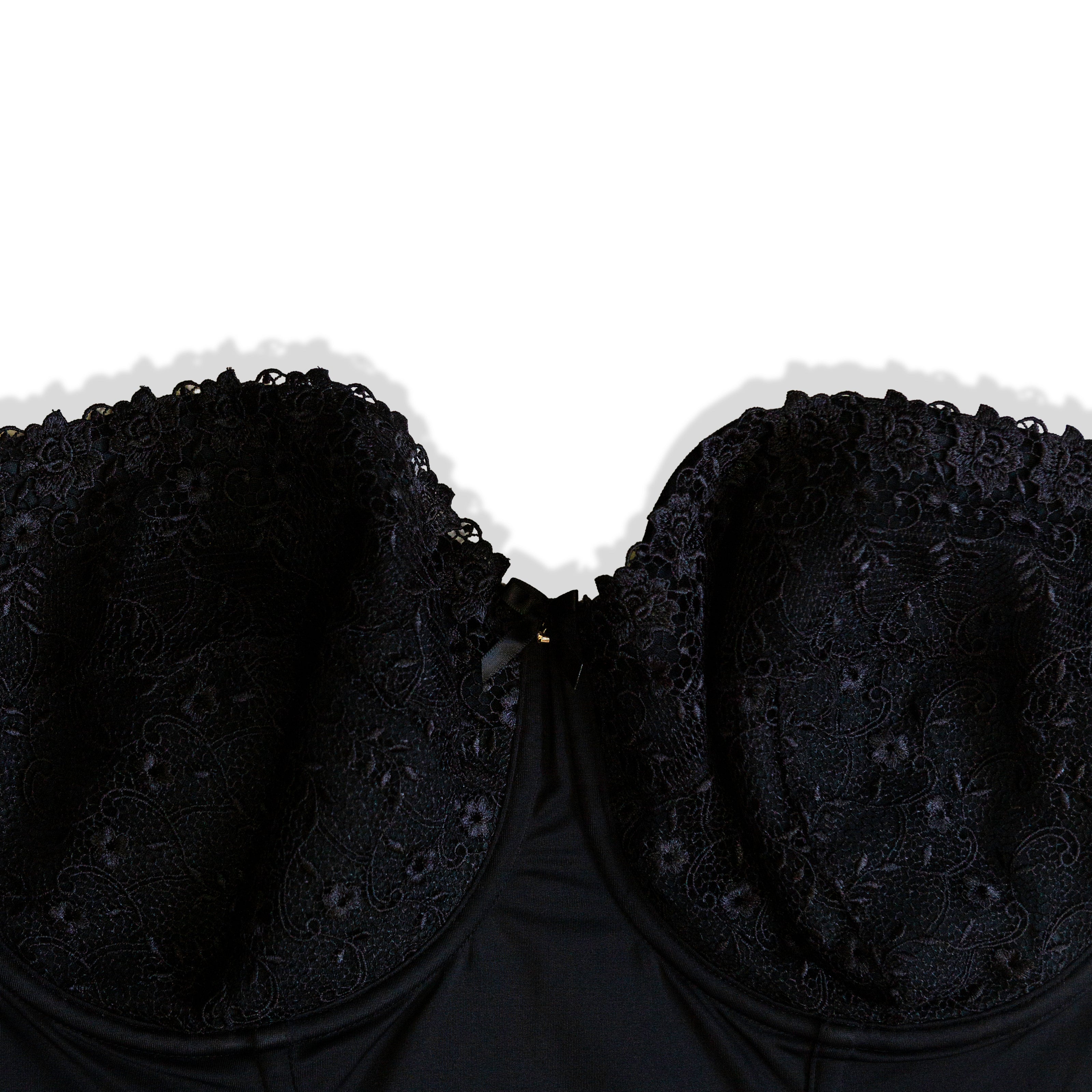 Super hot corset top (95E)