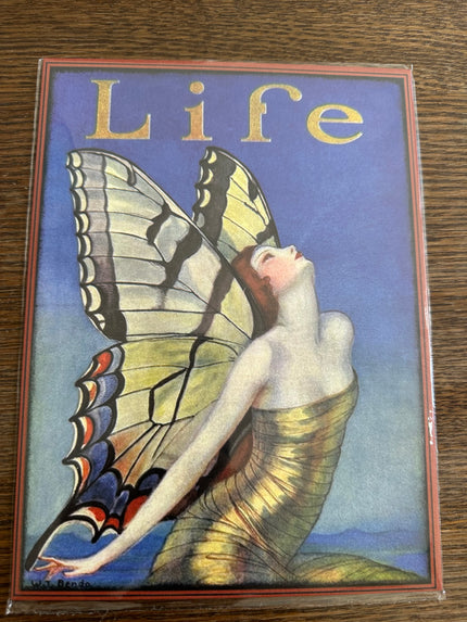 Life magazine cover poster