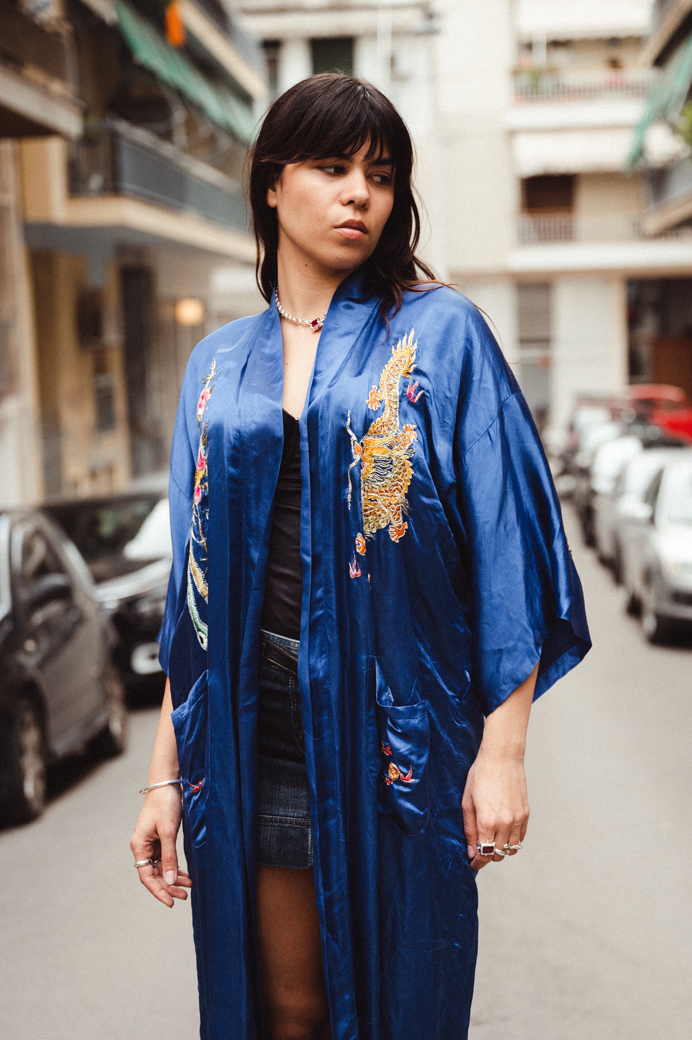 Stunning 100% silk Asian robe with hand embroidery