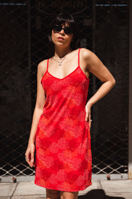 Super cute mesh dress