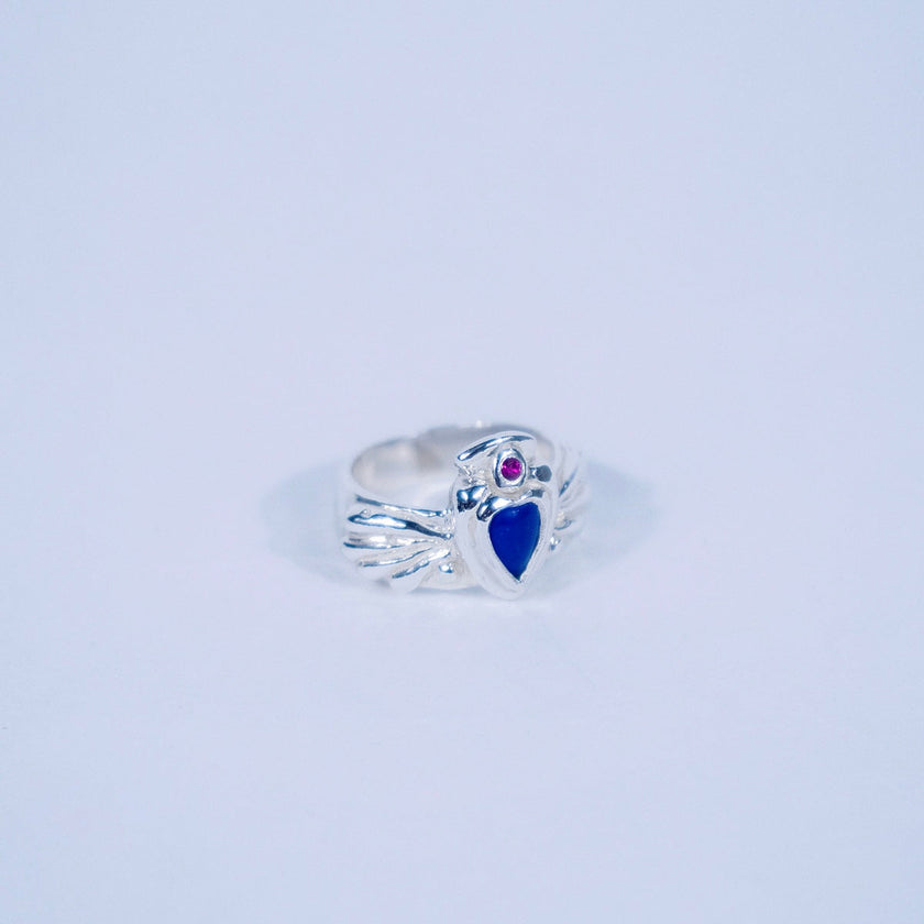 Noxpiria season of the witch silver 925 ring with lapis lazuli gemstone