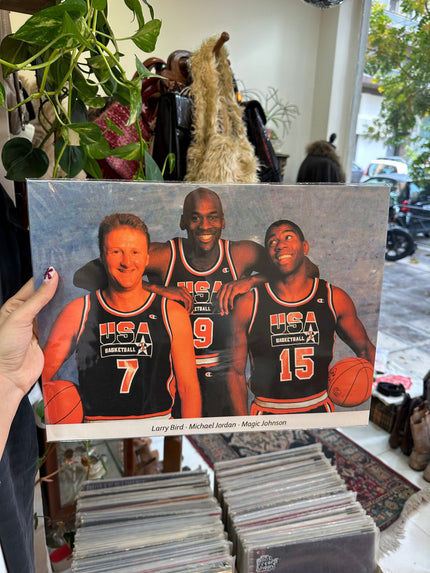 L.Bird M. Jordan M. Johnson poster