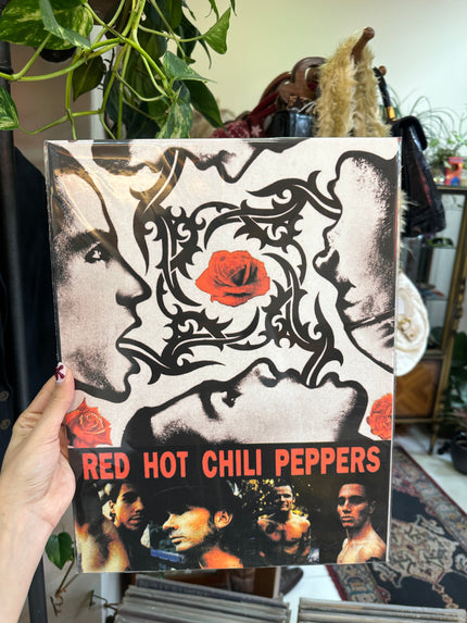 Red hot chili peppers poster