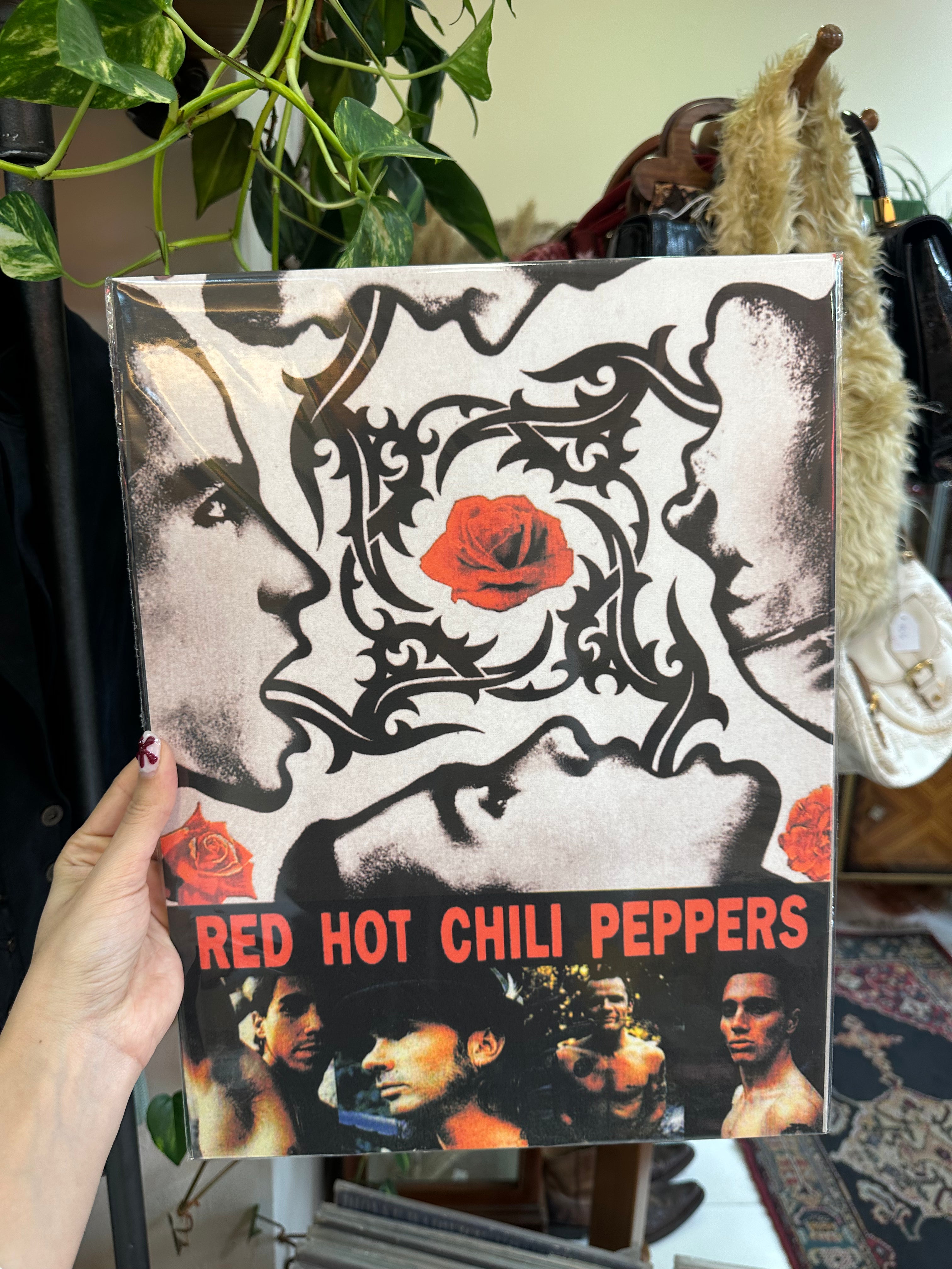 Red hot chili peppers poster