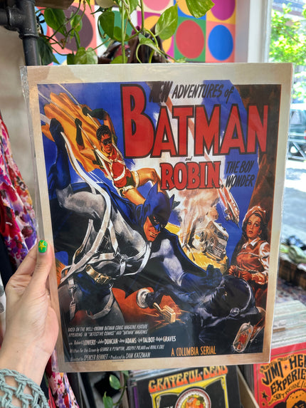 Batman & Rodin movie poster