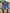 Levi’s 511 denim shorts