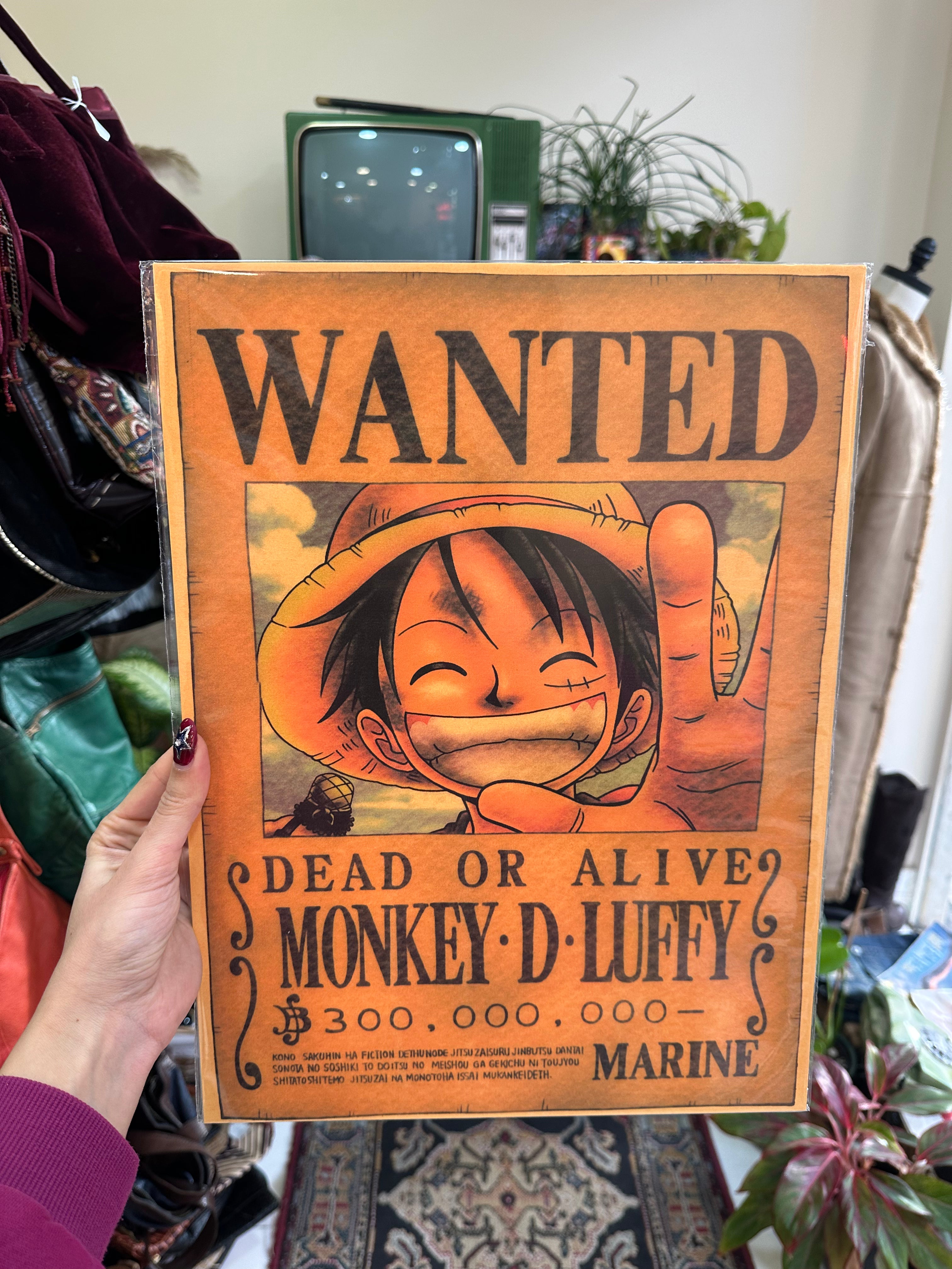 Monkey D Luffy, One piece poster