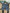 Levi’s 511 slim jorts