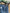 Deadstock Lee denim jorts