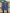 Dickies casual plaid shorts
