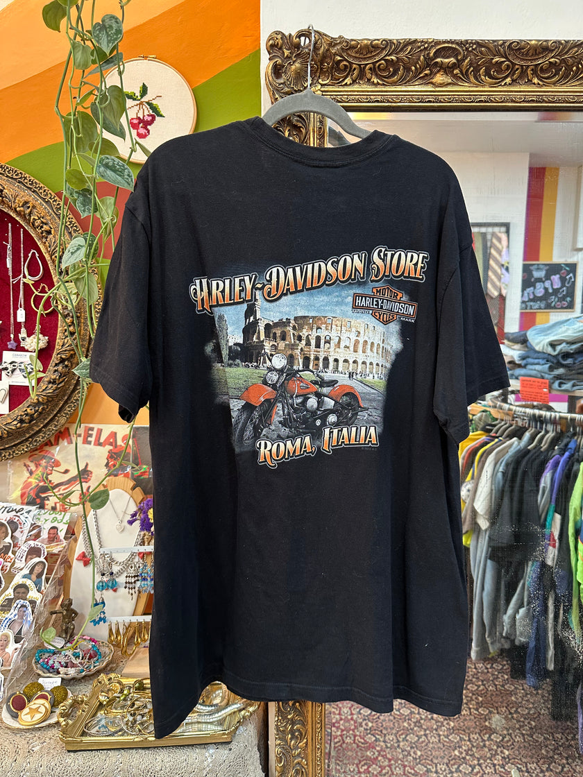 Harley Davidson graphic T-shirt (XL)