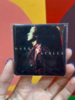 Harry Styles magnet