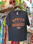 Harley-Davidson Mens Graphic T-Shirt (L)