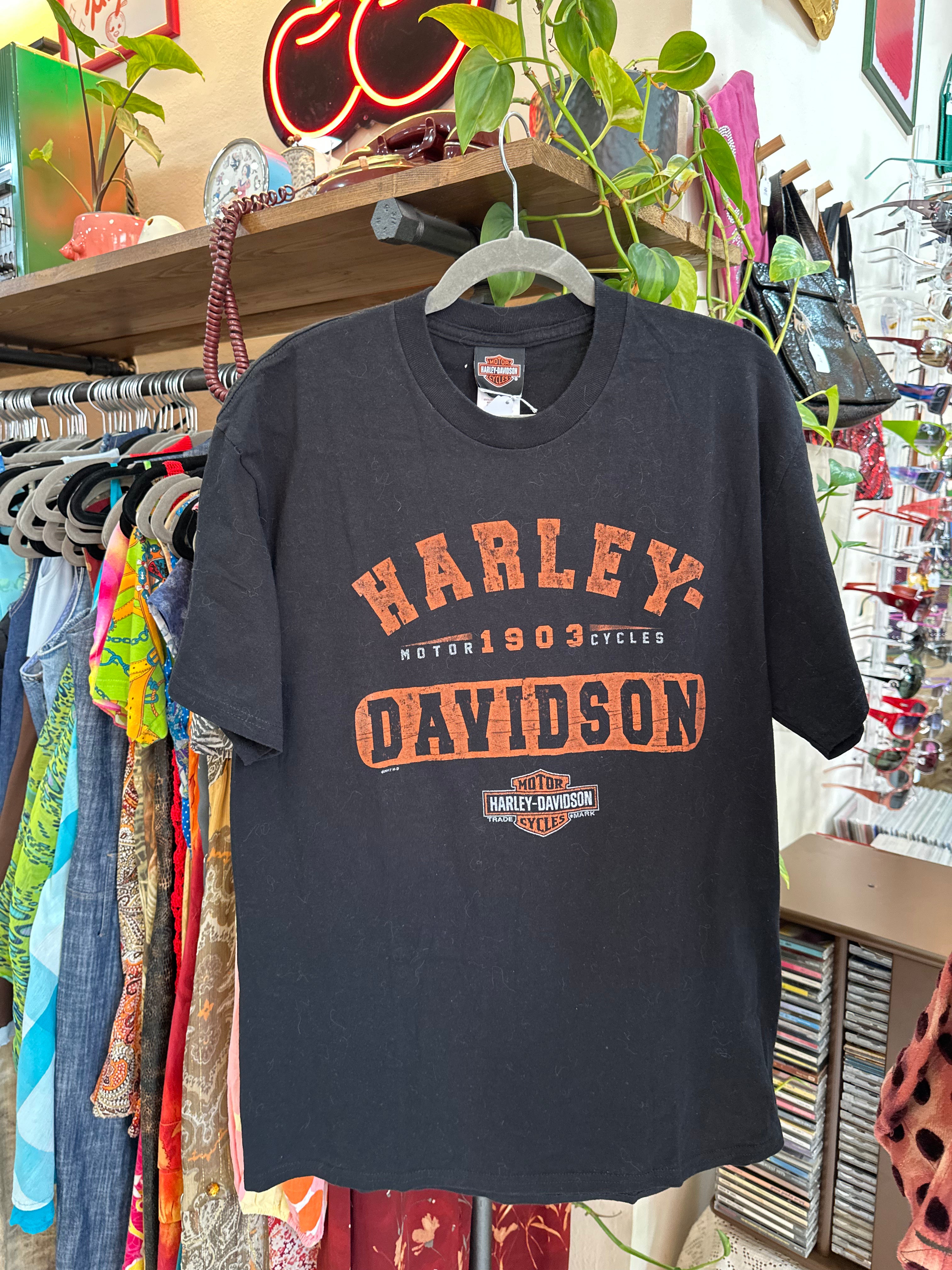 Harley-Davidson Mens Graphic T-Shirt (L)