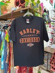 Harley-Davidson Mens Graphic T-Shirt (L)