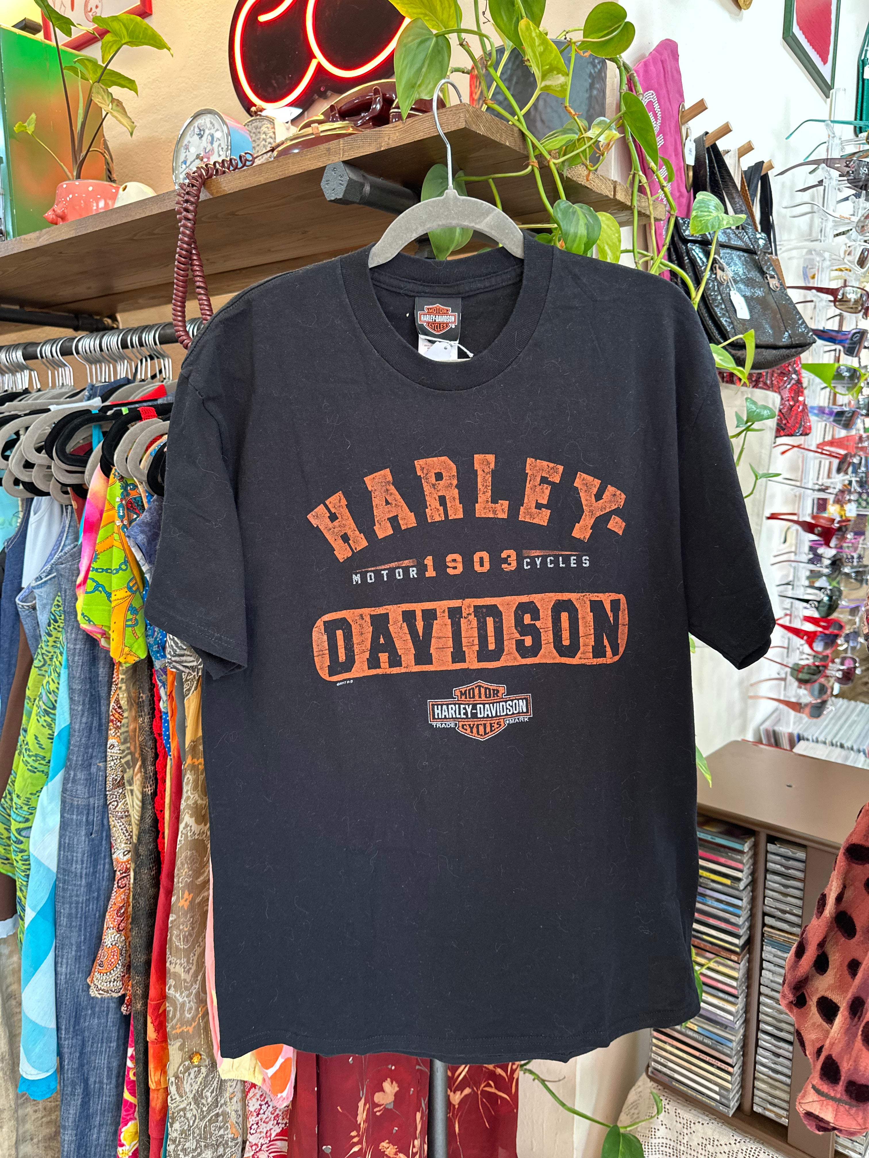 Harley-Davidson Mens Graphic T-Shirt (L)