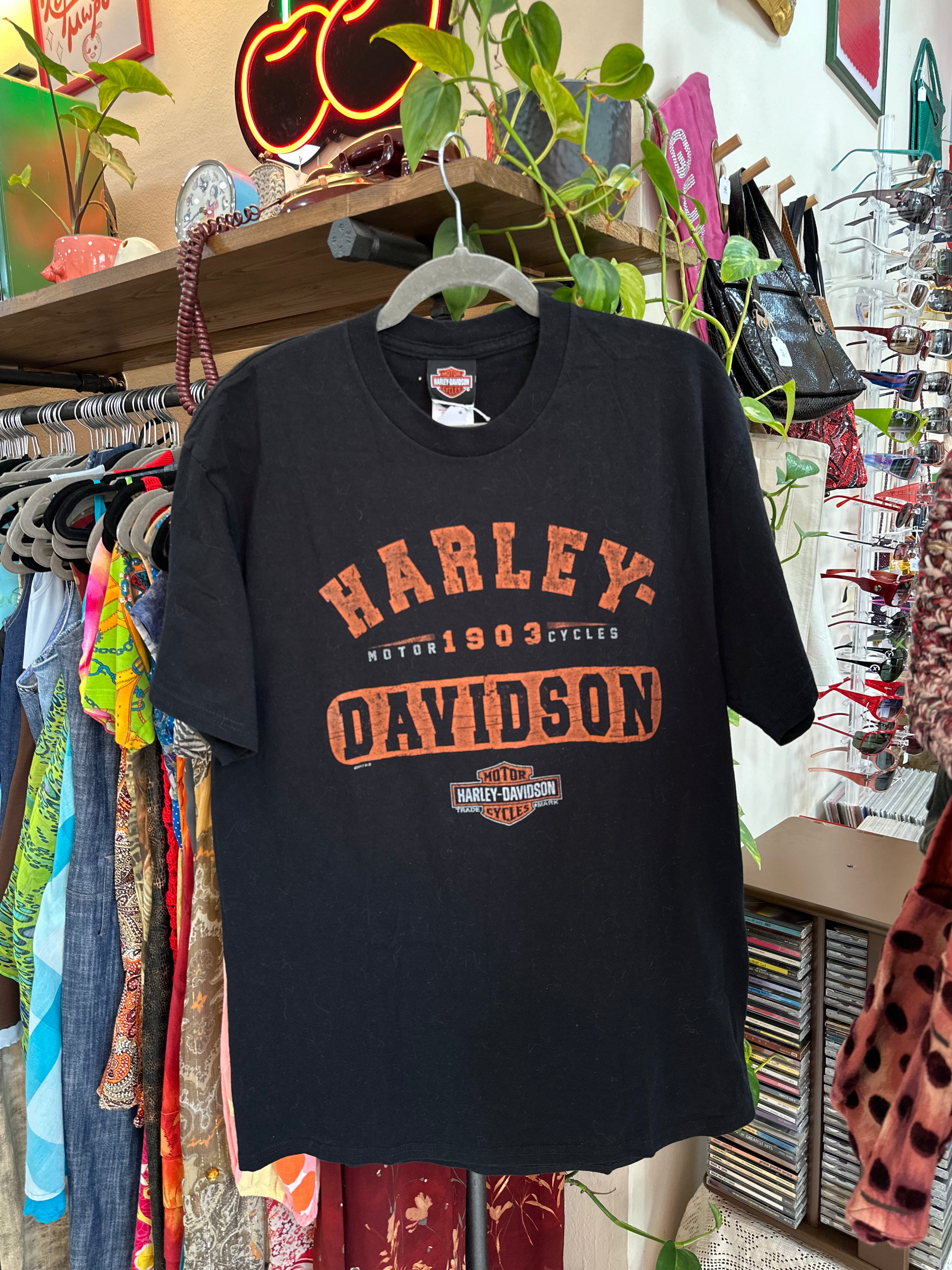 Harley-Davidson Mens Graphic T-Shirt (L)