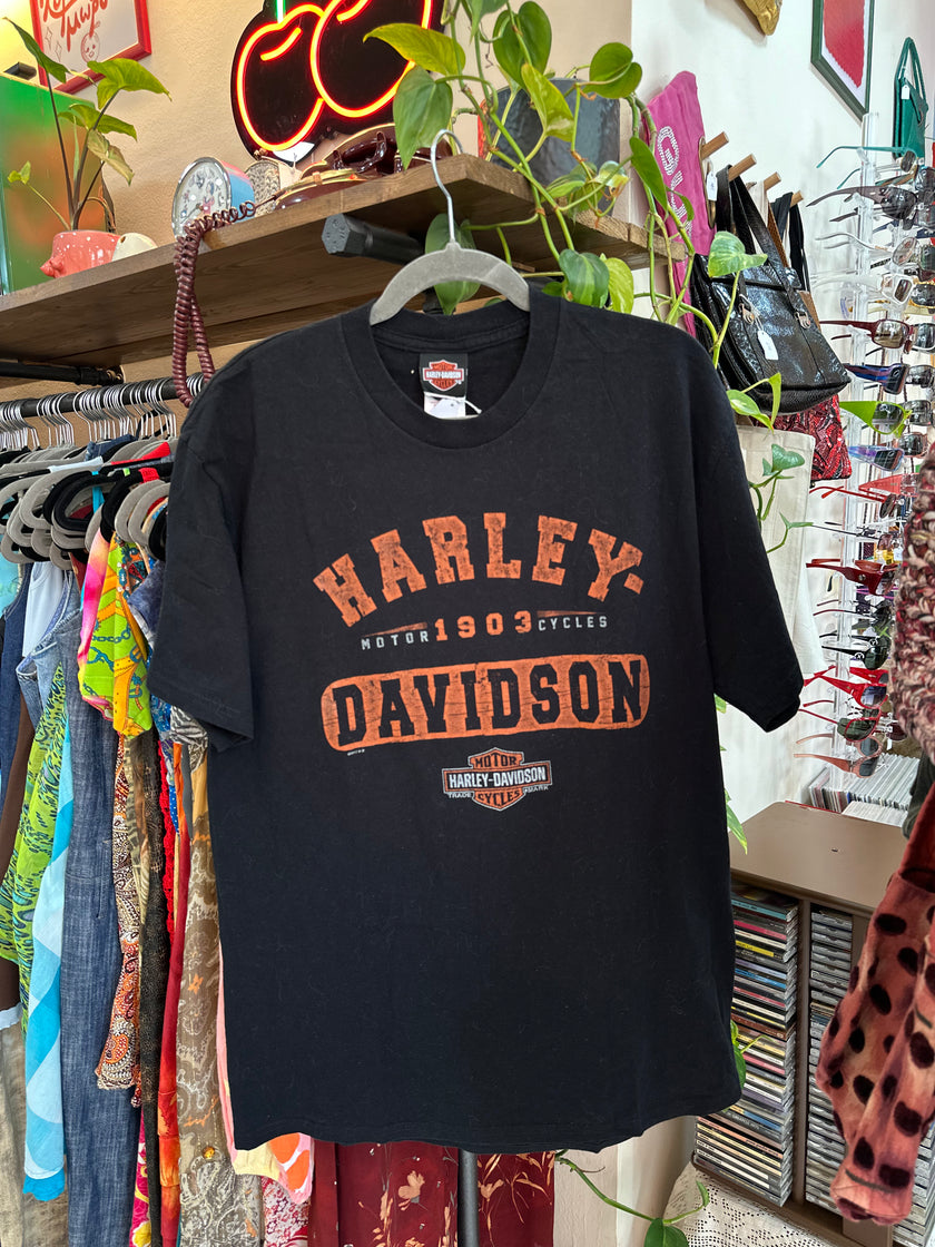 Harley-Davidson Mens Graphic T-Shirt (L)
