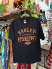 Harley-Davidson Mens Graphic T-Shirt (L)