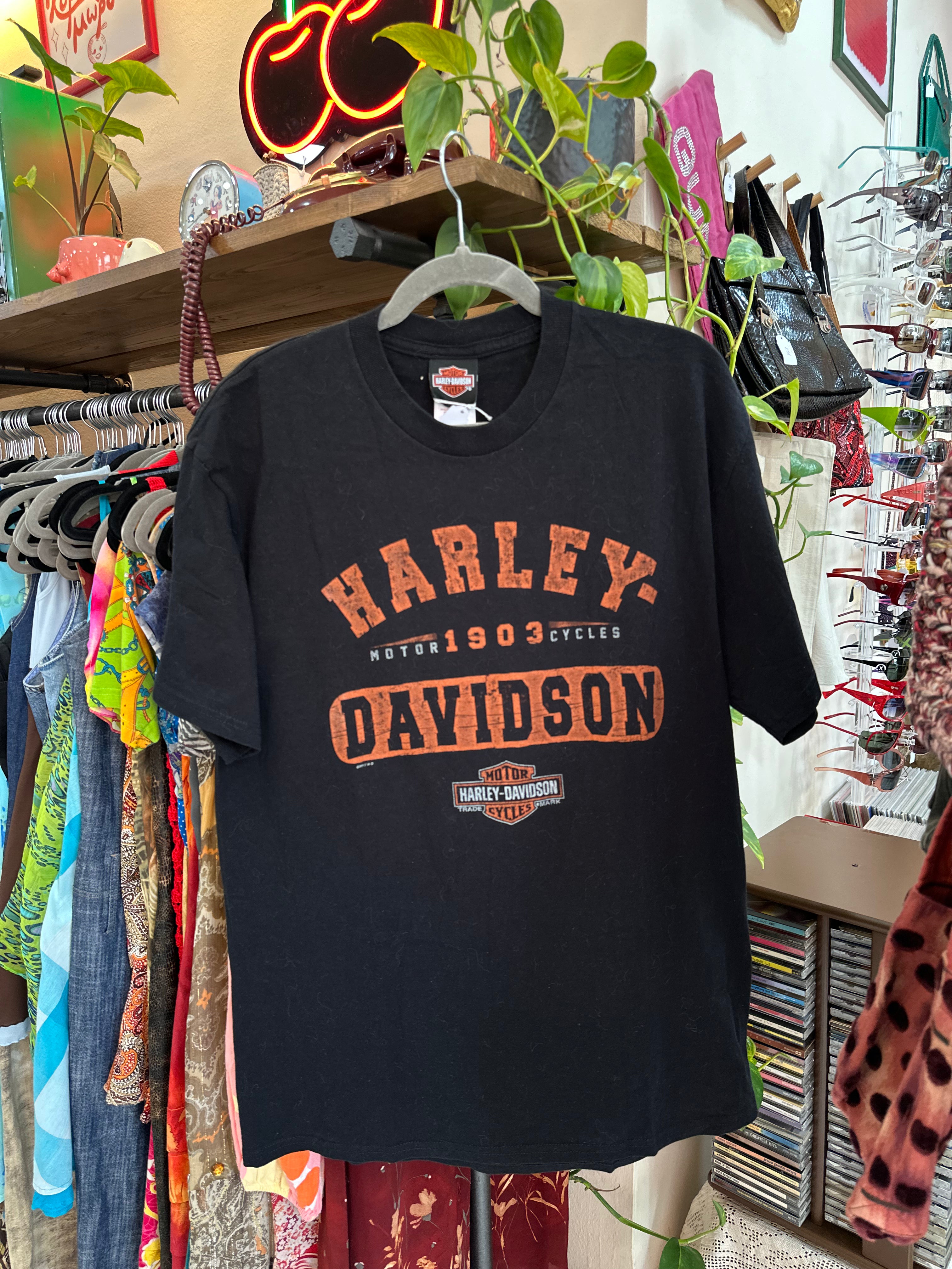 Harley-Davidson Mens Graphic T-Shirt (L)
