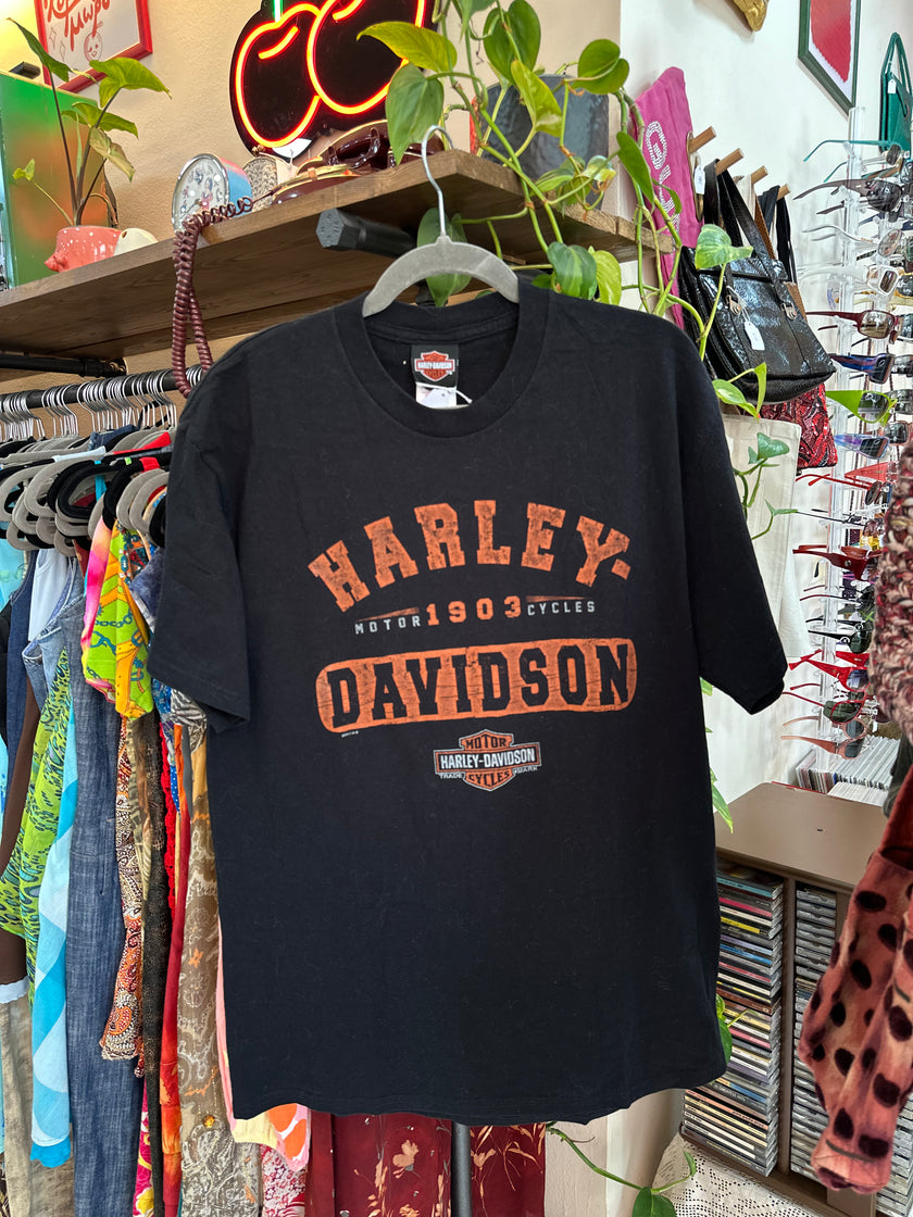 Harley-Davidson Mens Graphic T-Shirt (L)