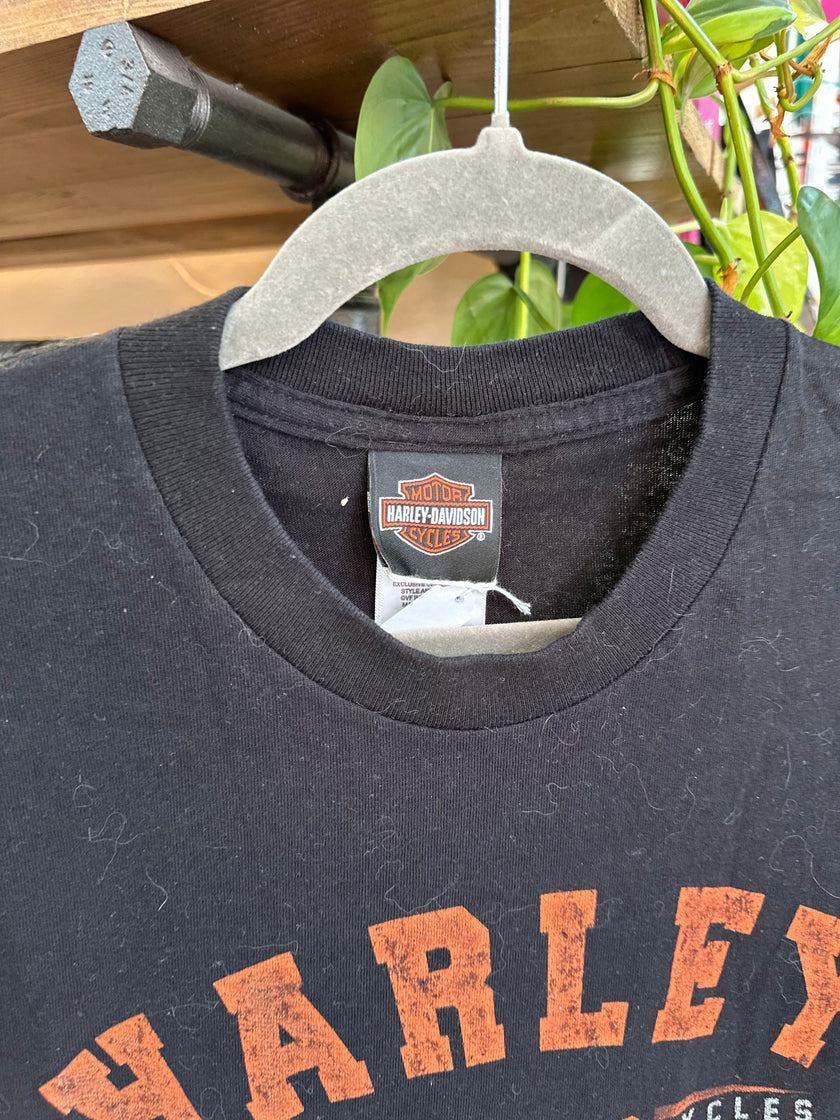 Harley-Davidson Mens Graphic T-Shirt (L)