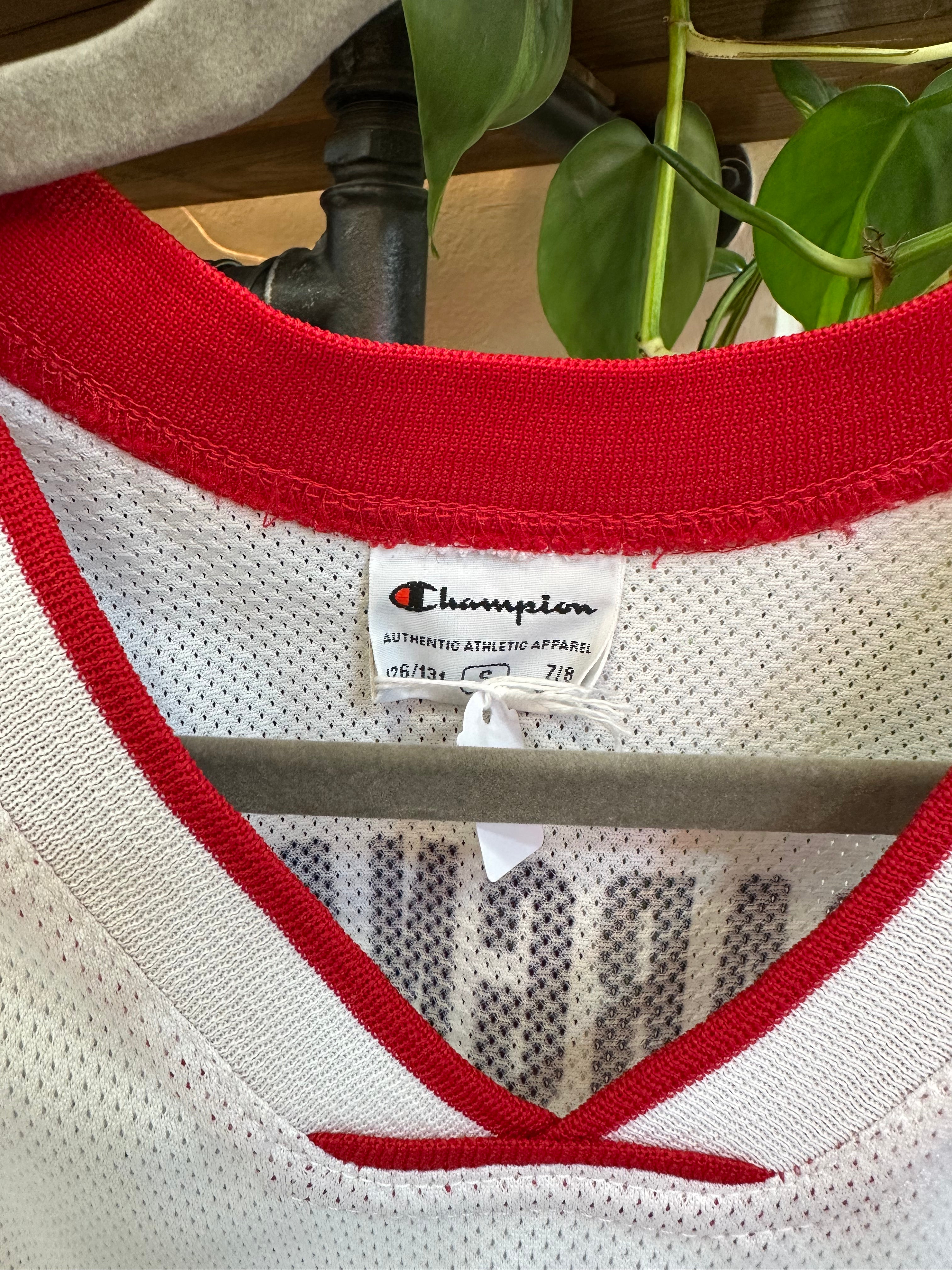 Vintage 90s Raptors Bargnani jersey (S)