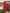 Beautiful red qipao dress