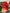 Beautiful red qipao dress