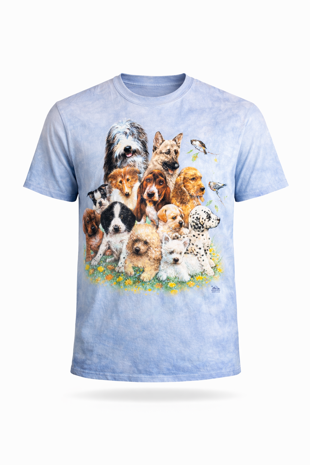 The Mountain T-shirt (L)