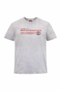 Harley Davidson grey T-shirt (2XL)
